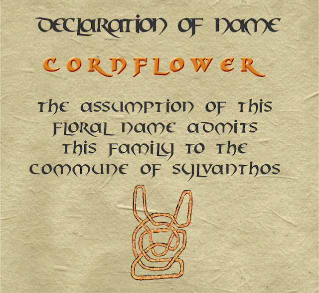 Declaration of name  Cornflower  the assumption of this floral name admits  this family to the commune of sylvanthos
