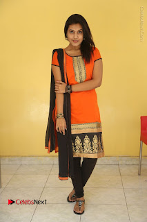 Telugu Actress Chandana Stills in Salwar Kameez at Karam Dosa Movie Press Meet  0097.JPG