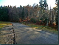 DSCN0380