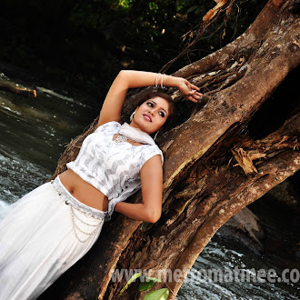 Meghana Raj Showing hot Navel and Armpit in Wet dress