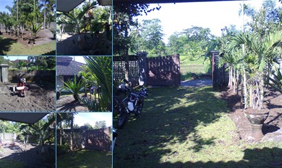 View album