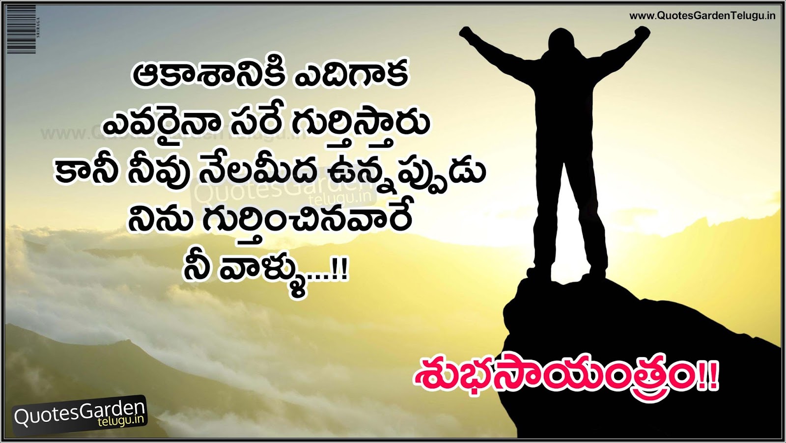 Latest Good evening Telugu Quotations wallpapers  QUOTES 
