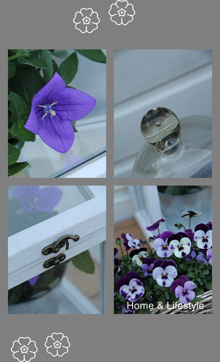 Collage 1