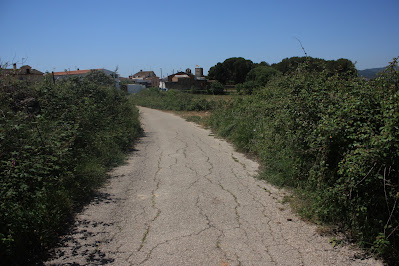 SANTA OLIVA CAMÍ DELS TURONS + CAMÍ DEL CAMP DE COLL - ESGLESIA DE SANT MIQUEL - RIERA DE SANT MIQUEL, Camí de Santa Oliva a Saifores. Darrera pujada i canvi de terme municipal entre Banyeres del Penedès i Santa Oliva - Baix Penedès