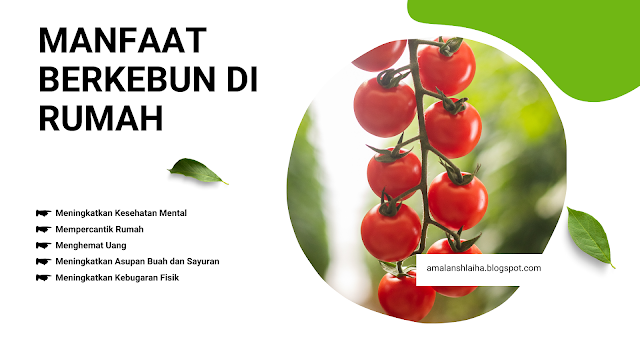 Dari Kesehatan Mental hingga Kebugaran Fisik - Manfaat Berkebun di Rumah