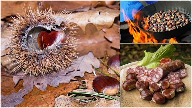 caldarroste castagne