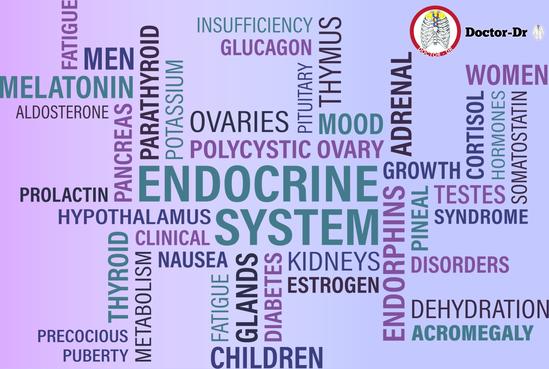 Understanding Endocrine Disorders: Causes, Symptoms, and Treatments