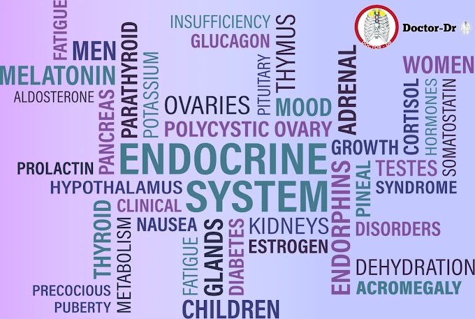 Understanding Endocrine Disorders: Causes, Symptoms, and Treatments