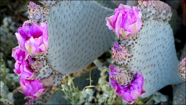 P1060013