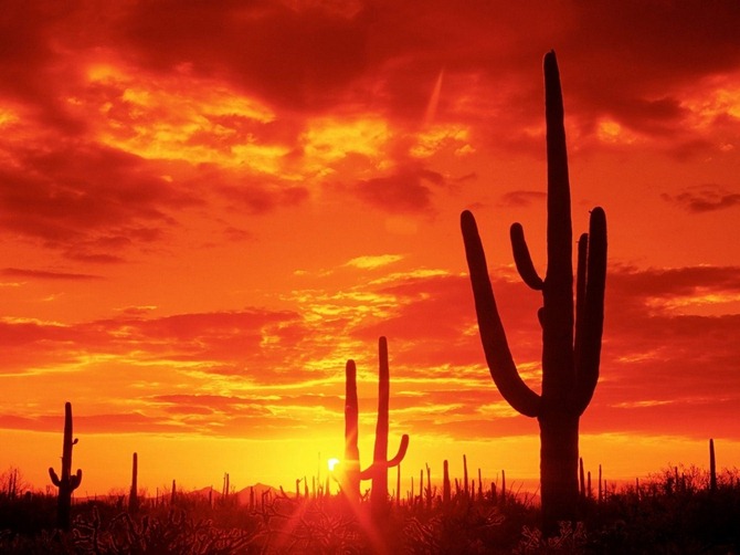 desierto_de_arizona1-681807