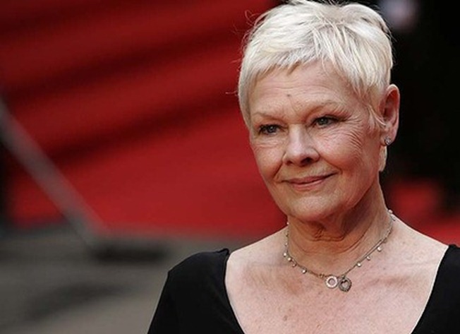 ipad-art-wide-judi-dench-420x0