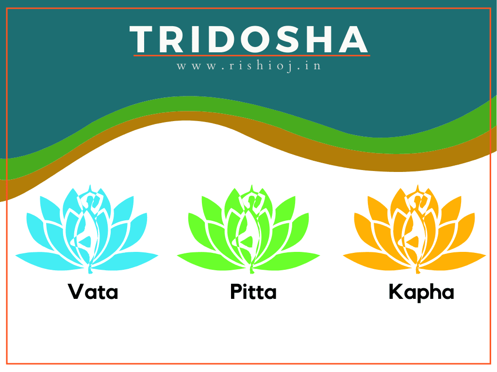 tridosha-vata-pitta-kapha