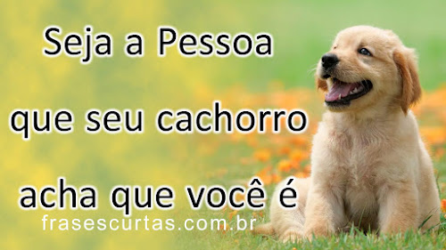 Seja a pessoa que seu cachorro acha que você é