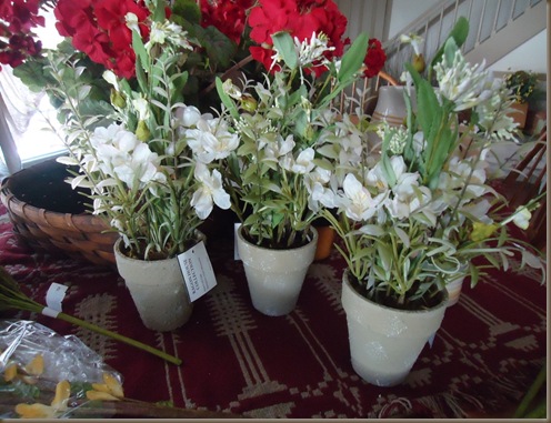three white plants