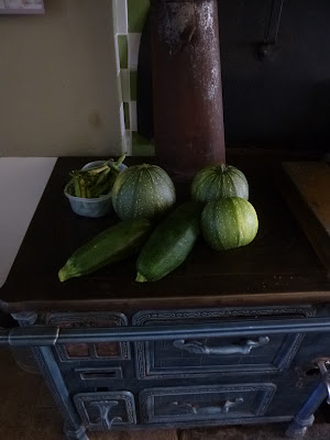 courgettes, petit pois, peas and courgettes, homegrown delights