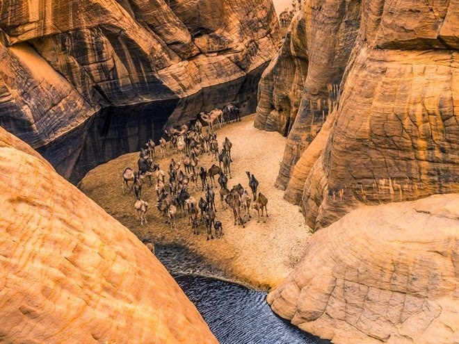  Guelta d'Archei, oc dao la lung cua sa mac