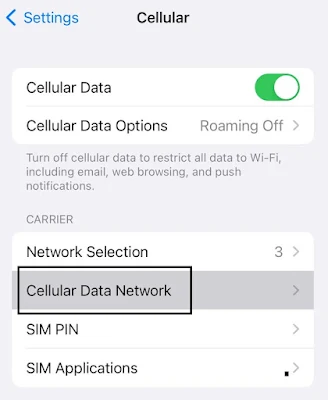 Cellular iOS 16 Settings