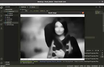 Invertion of a blurred image using cv2 bitwise not function