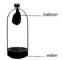Balloon In A Bottle3