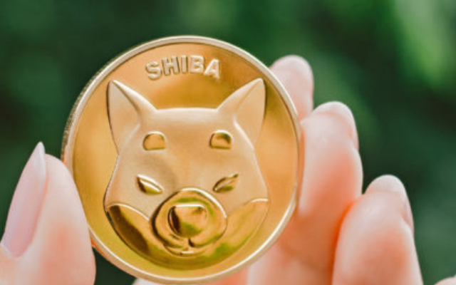 Bagaimana Masa Depan Shiba Inu Sebagai Investasi Dimasa Mendatang