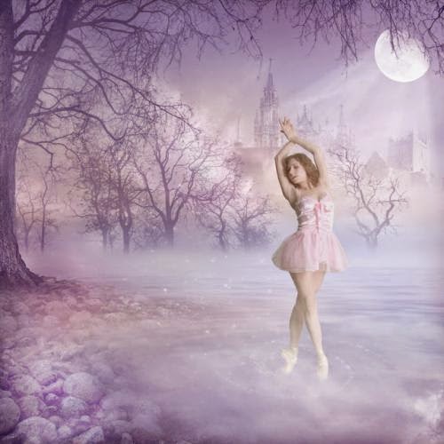 Sweet Lavender Dreams