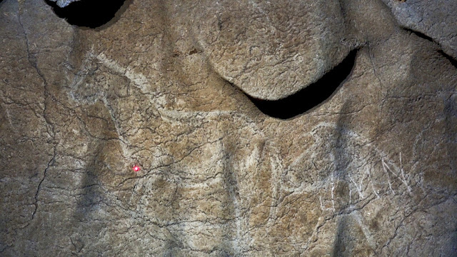  H5N1 serial of prehistoric cave paintings has been uncovered inwards the Basque Country 14,500-year-old cave paintings discovered inwards Spain