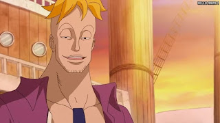 ワンピースアニメ 頂上戦争編 461話 不死鳥マルコ Marco the Phoenix | ONE PIECE Episode 461