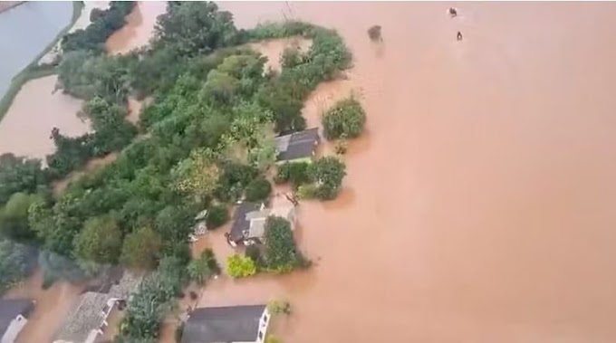 Confira dicas de como não cair em golpes de doações financeiras para o Rio Grande do Sul