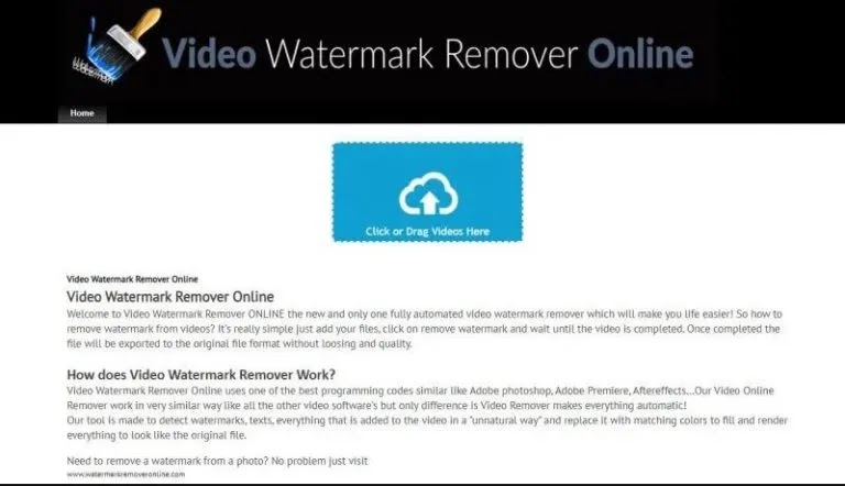 How To Remove Video Watermark