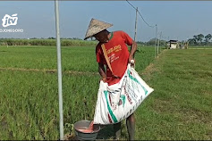 Masa Tanam, Petani di Ngawi Kesulitan Peroleh Pupuk Bersubsidi