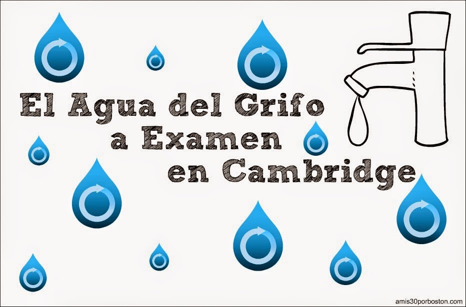 El Agua del Grifo a Examen en Cambridge