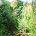 Con otra visión: El barranco del Arroyo del Genilla.