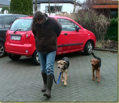 hunde2