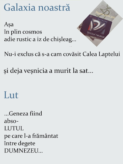 nuovo%20vio%20lut.jpg