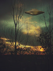 UFO Flying saucer above tress