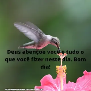 Mensagens de Bom Dia Boa Tarde e Boa Noite