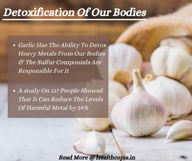 The Health Benefits Of Garlic