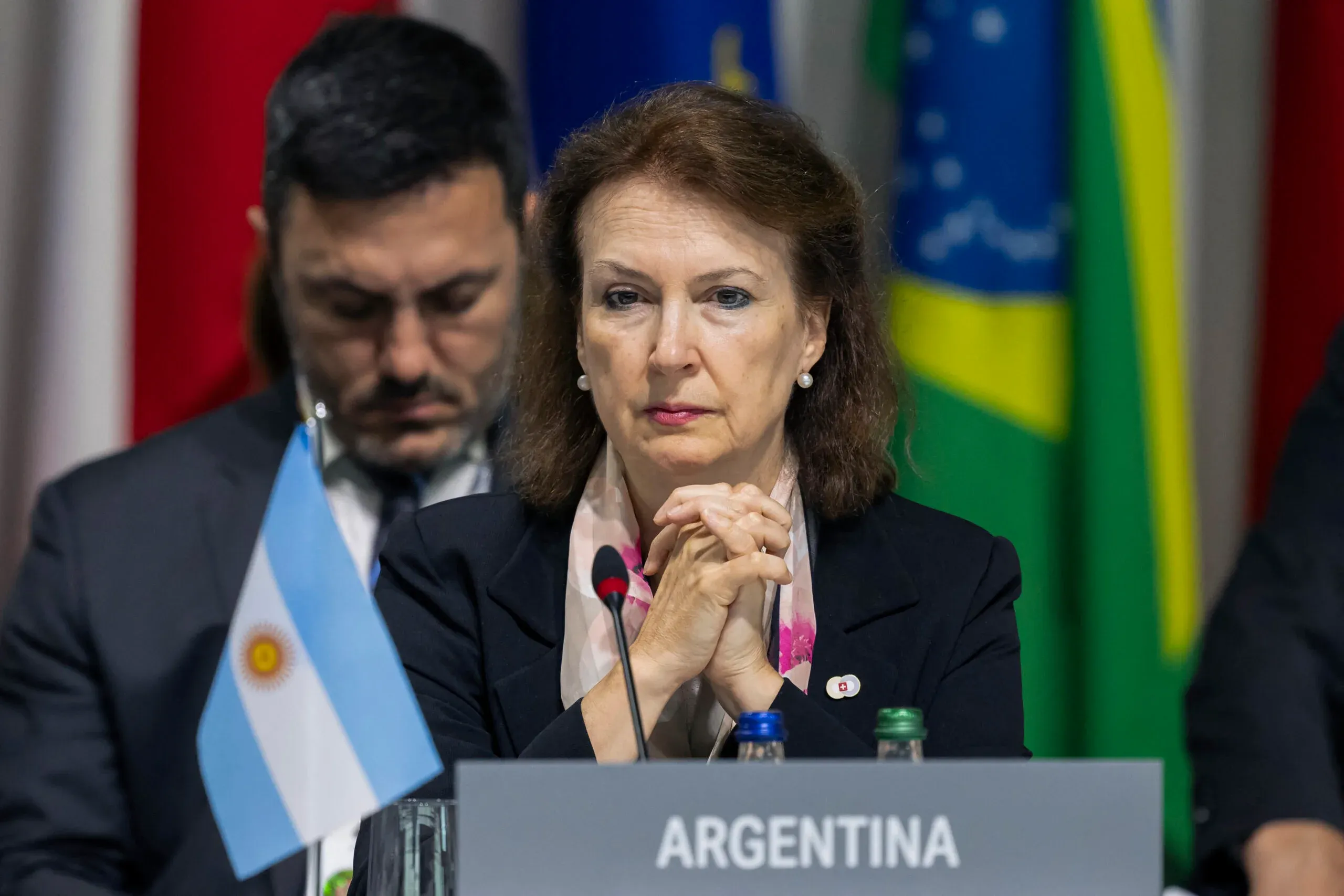 Canciller Diana Mondino