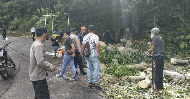 Polisi Bersama DKP Singkirkan Pohon Tumbang di Polimak IV Jayapura