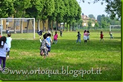 OrtoQua 2015 - classi 1A e 1B Primaria Padulle (19)