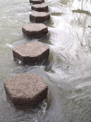  Photograph 1. stepping stones