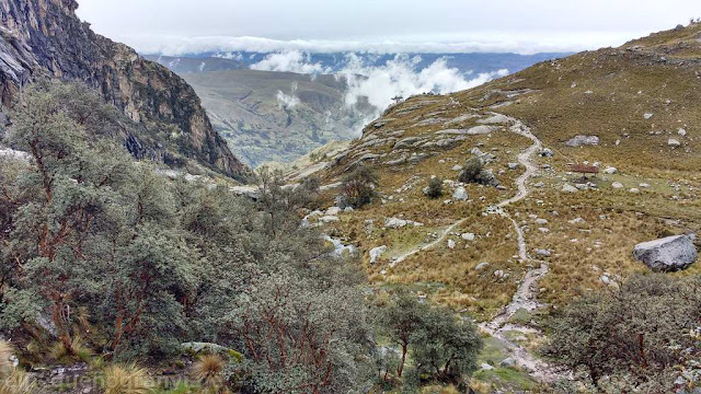 vistas, camino, laguna, trekking, nevado churup, churupita