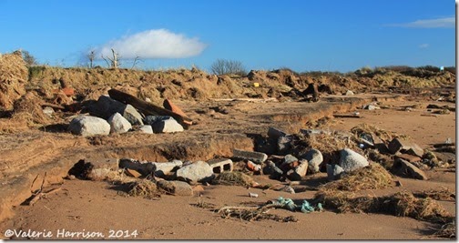 37-storm-debris