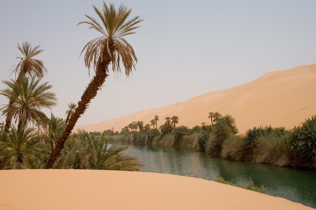 Fabulous Oasis in The Libyan Sahara