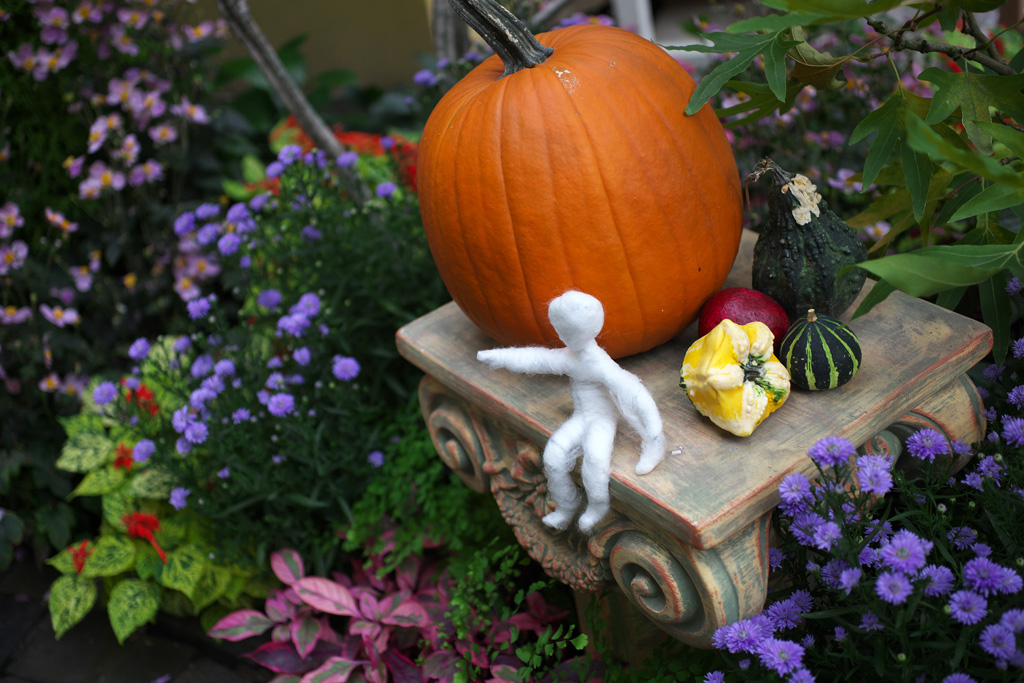 デンパーク写真集 ハロウィンフラワーショー パレードが通るよ ２０１６