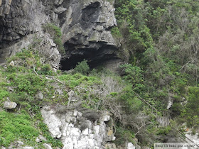 Parque Nacional de Tsitsikamma