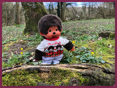 kiki monchhichi valmont forêt vivier