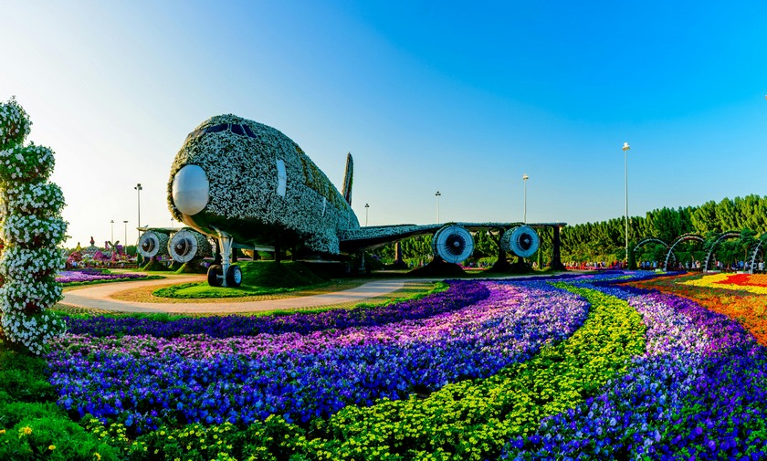 why visit miracle garden dubai