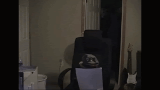 The Erica Crooks Show gif Living in a Crappy Apartment