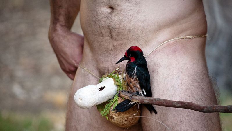 New Photos From Jackass 3.5